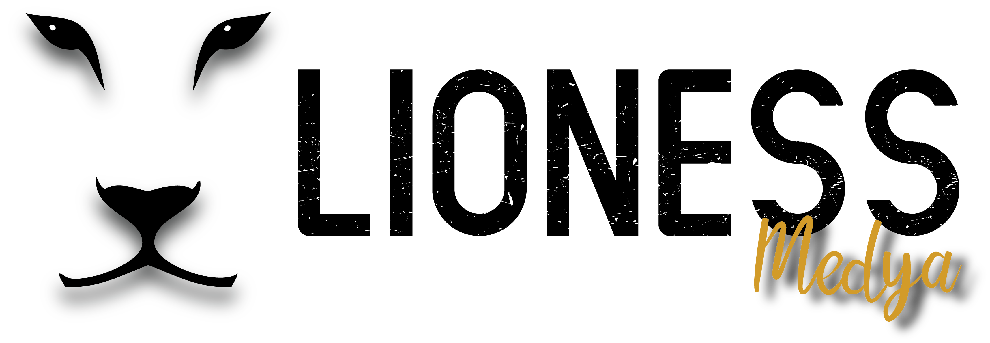 Lioness Medya